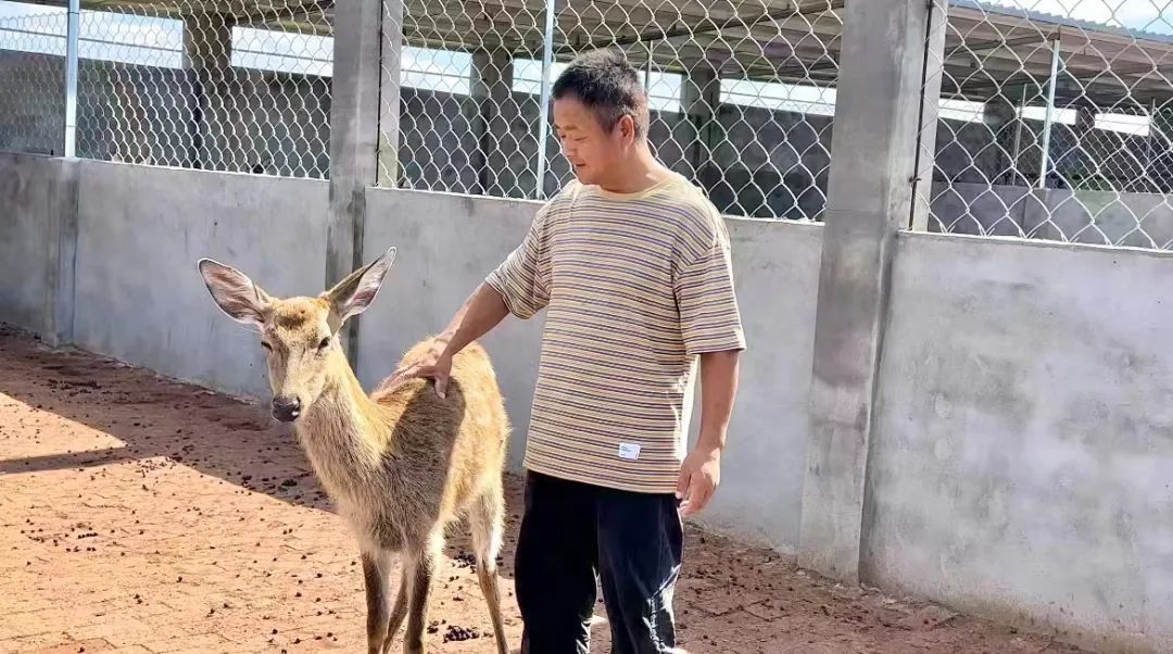 百家如何看庄闲